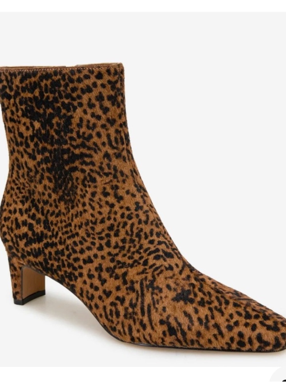 Splendid Justice Leopard Print Ankle Bootie - Women